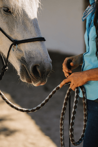 Mas-des-pointes-camargue-cheval-renes-mains
