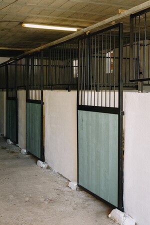 Mas-des-pointes-camargue-ecurie-box-chevaux